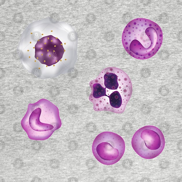 White Blood Cells WBCs Pattern Monocytes by labstud
